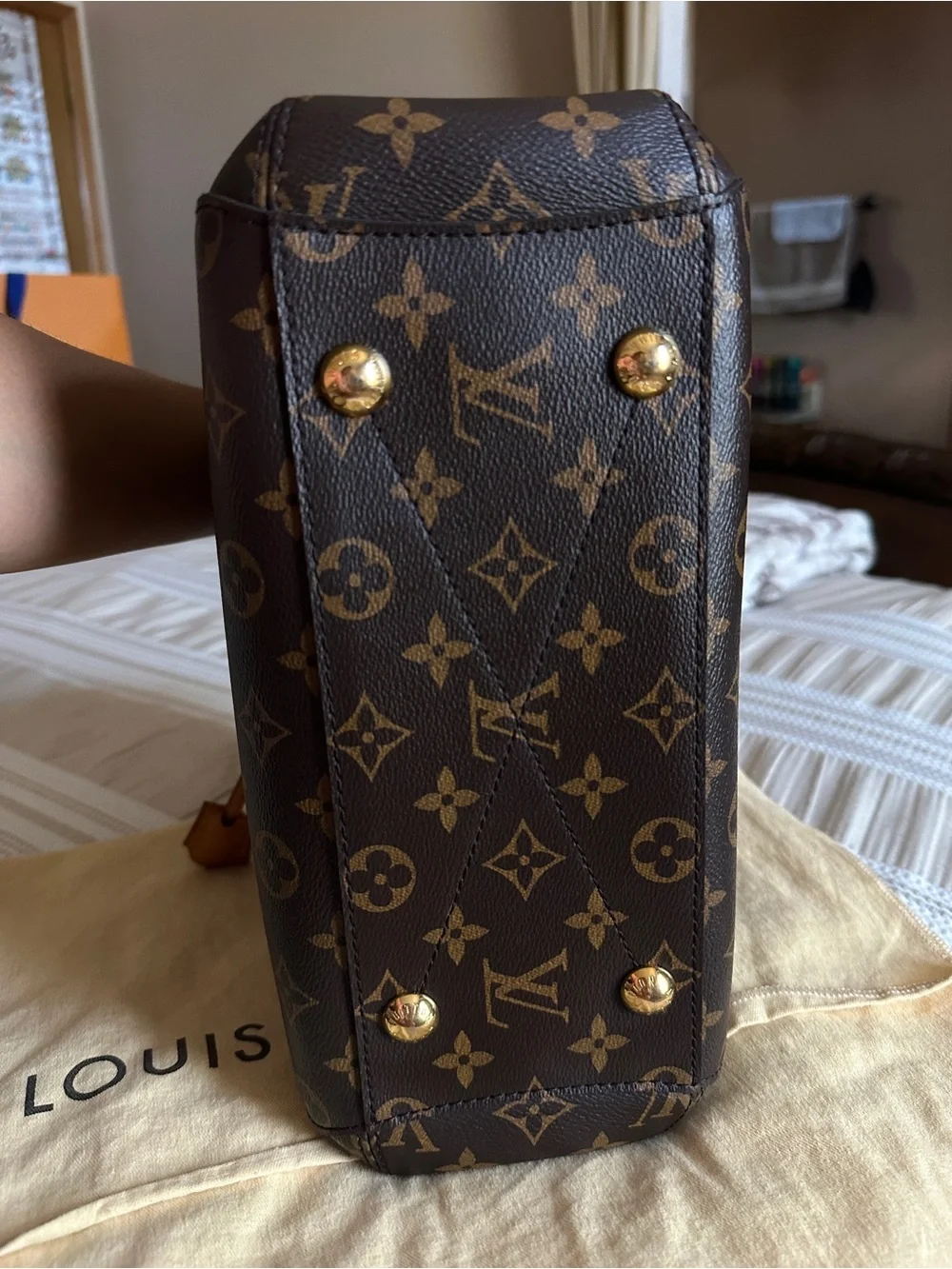 Louis Vuitton Monogram Canvas Shoulder Bag comes with Dust Bag